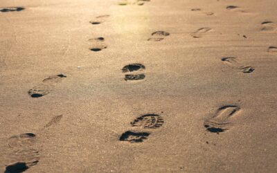 Public Participation in Kenya: A step in the right direction