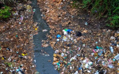 Tackling Kenya’s water pollution crisis